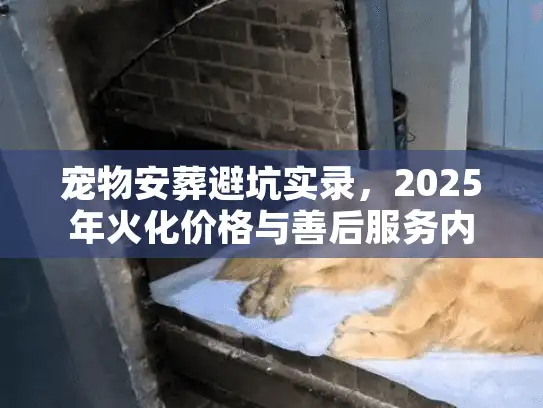 宠物安葬避坑实录，2025年火化价格与善后服务内幕