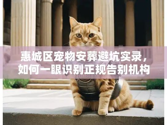 惠城区宠物安葬避坑实录，如何一眼识别正规告别机构？