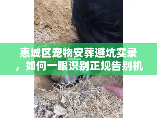 惠城区宠物安葬避坑实录，如何一眼识别正规告别机构？