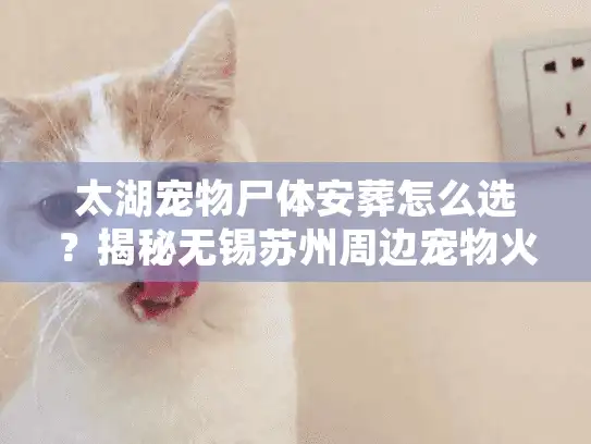 太湖宠物尸体安葬怎么选？揭秘无锡苏州周边宠物火化内幕