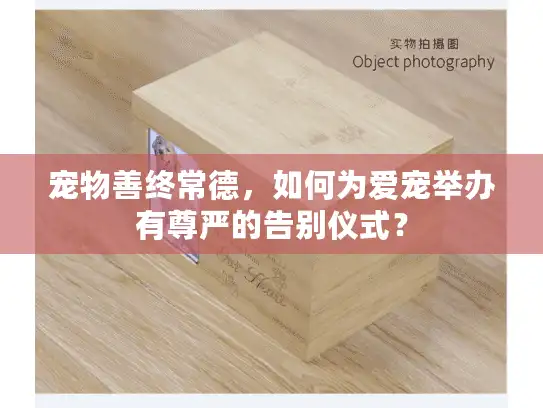 宠物善终常德，如何为爱宠举办有尊严的告别仪式？