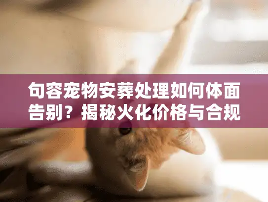句容宠物安葬处理如何体面告别？揭秘火化价格与合规善后真相