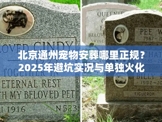 北京通州宠物安葬哪里正规？2025年避坑实况与单独火化全解析
