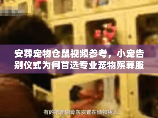 安葬宠物仓鼠视频参考，小宠告别仪式为何首选专业宠物殡葬服务？