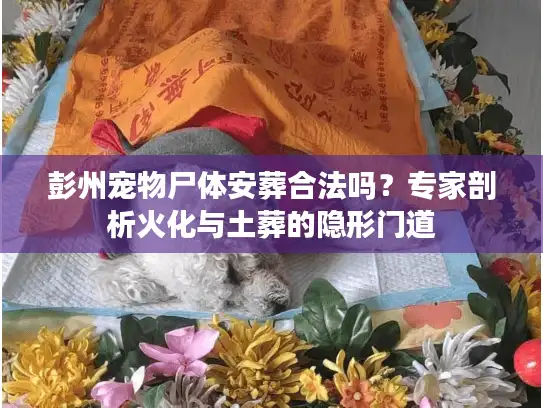 彭州宠物尸体安葬合法吗？专家剖析火化与土葬的隐形门道