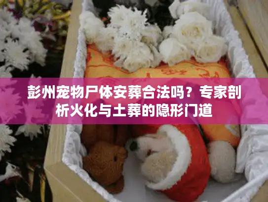 彭州宠物尸体安葬合法吗？专家剖析火化与土葬的隐形门道
