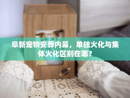 阜新宠物安葬内幕，单独火化与集体火化区别在哪？