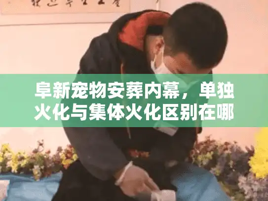 阜新宠物安葬内幕，单独火化与集体火化区别在哪？