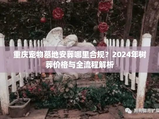 重庆宠物墓地安葬哪里合规？2024年树葬价格与全流程解析