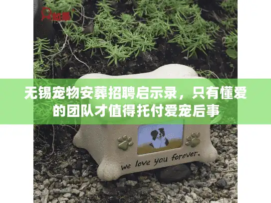 无锡宠物安葬招聘启示录，只有懂爱的团队才值得托付爱宠后事