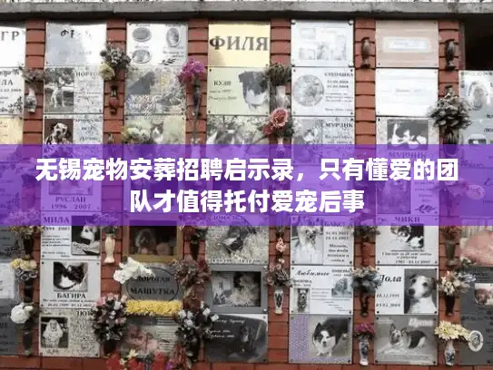 无锡宠物安葬招聘启示录，只有懂爱的团队才值得托付爱宠后事