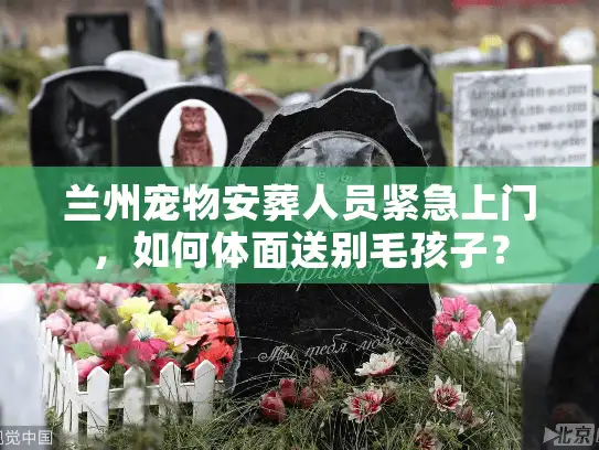 兰州宠物安葬人员紧急上门，如何体面送别毛孩子？