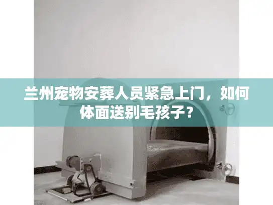兰州宠物安葬人员紧急上门，如何体面送别毛孩子？