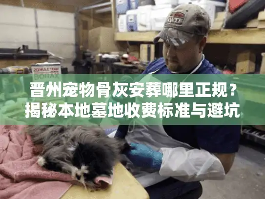 晋州宠物骨灰安葬哪里正规？揭秘本地墓地收费标准与避坑细节
