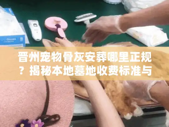 晋州宠物骨灰安葬哪里正规？揭秘本地墓地收费标准与避坑细节
