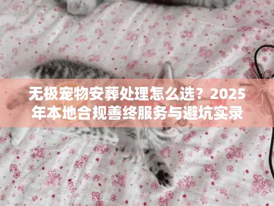 无极宠物安葬处理怎么选？2025年本地合规善终服务与避坑实录