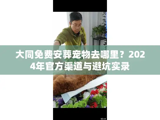 大同免费安葬宠物去哪里？2024年官方渠道与避坑实录