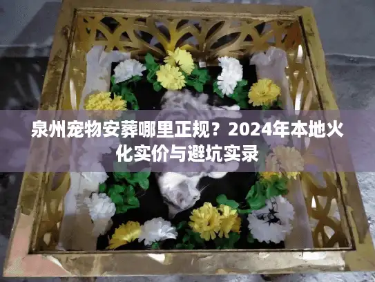 泉州宠物安葬哪里正规？2024年本地火化实价与避坑实录
