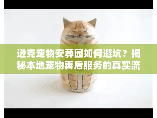 逊克宠物安葬园如何避坑？揭秘本地宠物善后服务的真实流程