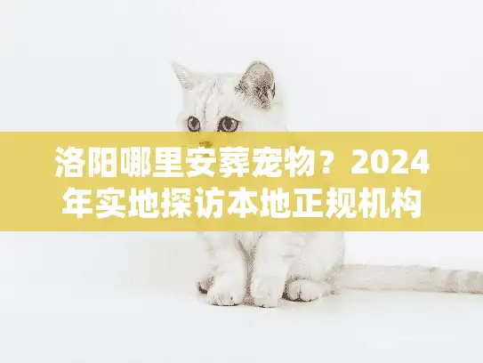洛阳哪里安葬宠物？2024年实地探访本地正规机构与避坑实录