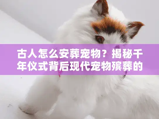 古人怎么安葬宠物？揭秘千年仪式背后现代宠物殡葬的真正价值