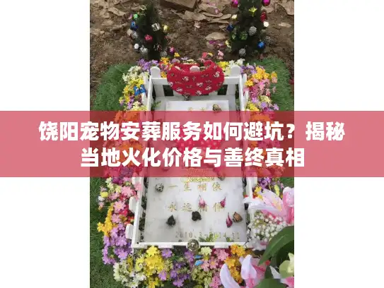 饶阳宠物安葬服务如何避坑？揭秘当地火化价格与善终真相