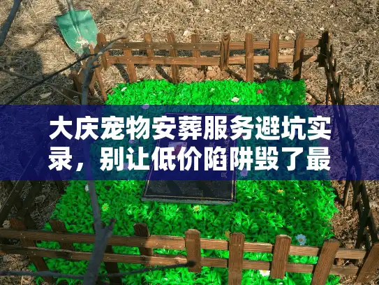大庆宠物安葬服务避坑实录，别让低价陷阱毁了最后尊严