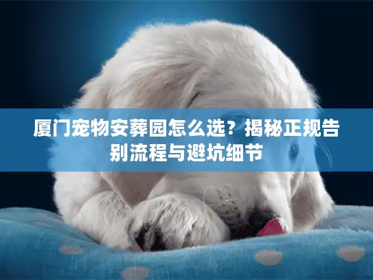 厦门宠物安葬园怎么选？揭秘正规告别流程与避坑细节