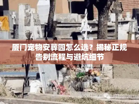 厦门宠物安葬园怎么选？揭秘正规告别流程与避坑细节