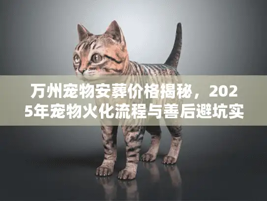 万州宠物安葬价格揭秘，2025年宠物火化流程与善后避坑实录