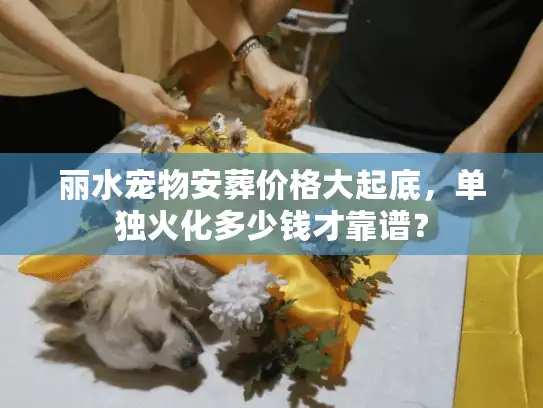 丽水宠物安葬价格大起底，单独火化多少钱才靠谱？