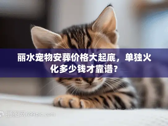 丽水宠物安葬价格大起底，单独火化多少钱才靠谱？