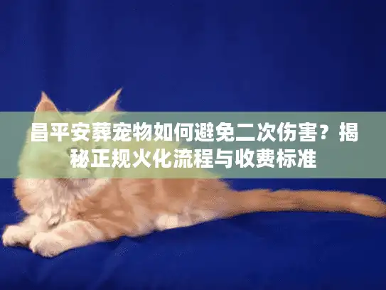 昌平安葬宠物如何避免二次伤害？揭秘正规火化流程与收费标准