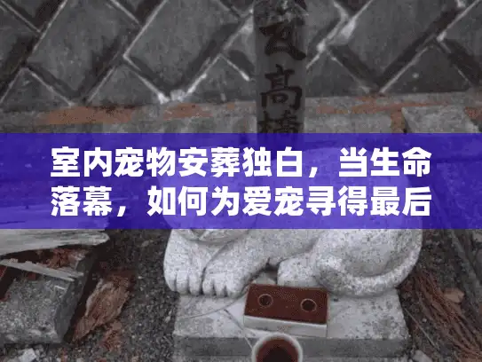 室内宠物安葬独白，当生命落幕，如何为爱宠寻得最后避风港