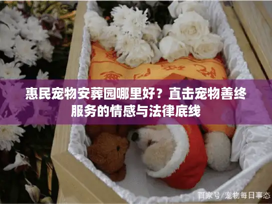 惠民宠物安葬园哪里好？直击宠物善终服务的情感与法律底线