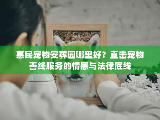惠民宠物安葬园哪里好？直击宠物善终服务的情感与法律底线