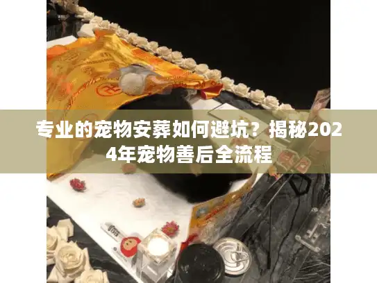 专业的宠物安葬如何避坑？揭秘2024年宠物善后全流程
