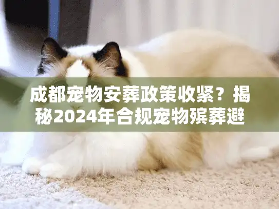 成都宠物安葬政策收紧？揭秘2024年合规宠物殡葬避坑门道