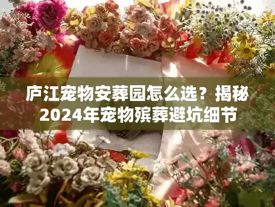 庐江宠物安葬园怎么选？揭秘2024年宠物殡葬避坑细节