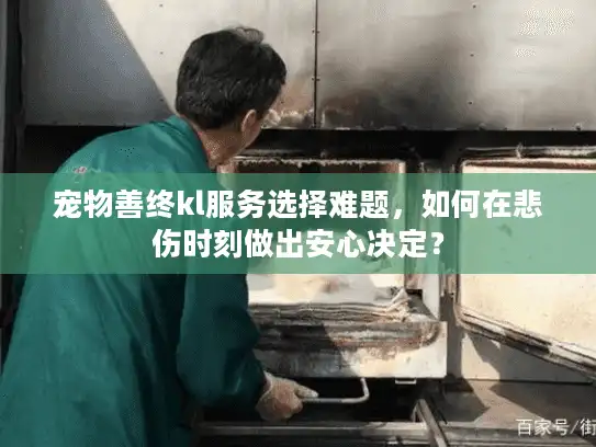 宠物善终kl服务选择难题，如何在悲伤时刻做出安心决定？