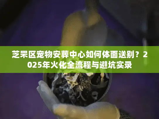 芝罘区宠物安葬中心如何体面送别？2025年火化全流程与避坑实录