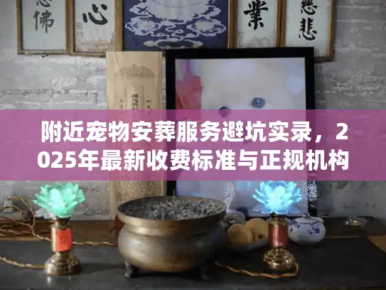 附近宠物安葬服务避坑实录，2025年最新收费标准与正规机构选择