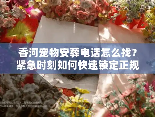 香河宠物安葬电话怎么找？紧急时刻如何快速锁定正规机构