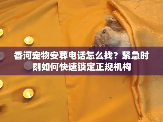 香河宠物安葬电话怎么找？紧急时刻如何快速锁定正规机构