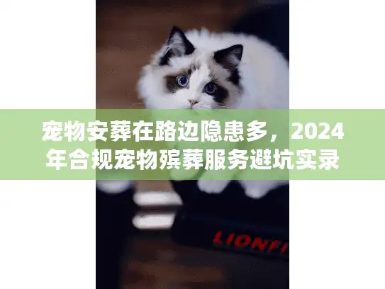 宠物安葬在路边隐患多，2024年合规宠物殡葬服务避坑实录