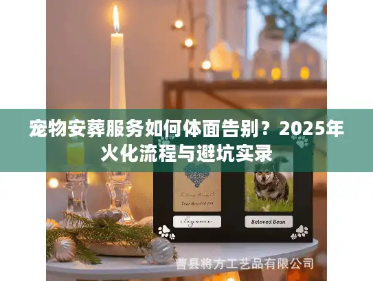 宠物安葬服务如何体面告别？2025年火化流程与避坑实录