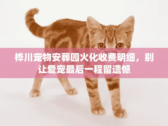 桦川宠物安葬园火化收费明细，别让爱宠最后一程留遗憾