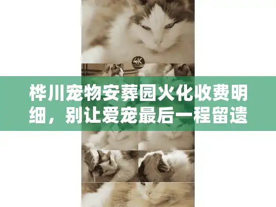 桦川宠物安葬园火化收费明细，别让爱宠最后一程留遗憾