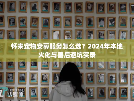 怀来宠物安葬服务怎么选？2024年本地火化与善后避坑实录