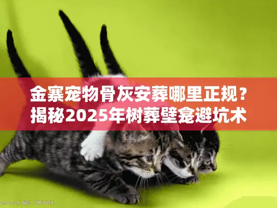 金寨宠物骨灰安葬哪里正规？揭秘2025年树葬壁龛避坑术